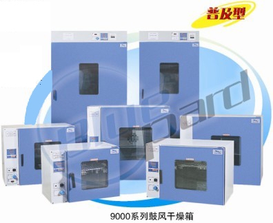 上海一恒立式鼓風干燥箱DHG-9620A
