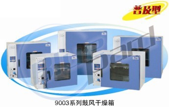 上海一恒臺式鼓風干燥箱DHG-9053A