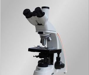 上海締倫生物顯微鏡TL-2800A