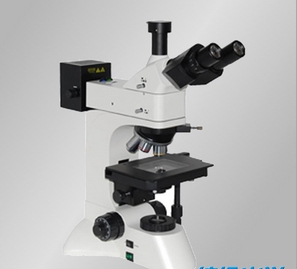 上海締倫微分干涉相襯顯微鏡XTL3230-DIC