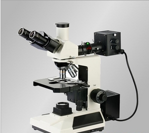 上海締倫透反射正置金相顯微鏡XTL-2030A
