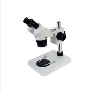 上海締倫體視顯微鏡ST6024-B1