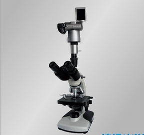 上海締倫數碼偏光顯微鏡XSP-11S