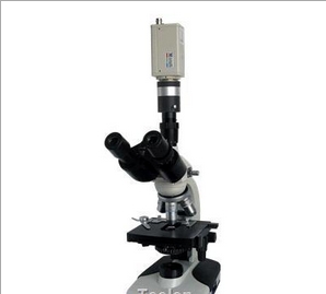 上海締倫視屏偏光顯微鏡XSP-11C